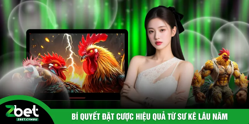 Bí quyết đặt cược hiệu quả từ sư kê lâu năm