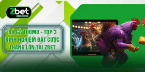Đá Gà Thomo - Top 3 Kinh Nghiệm Đặt Cược Thắng Lớn Tại ZBET