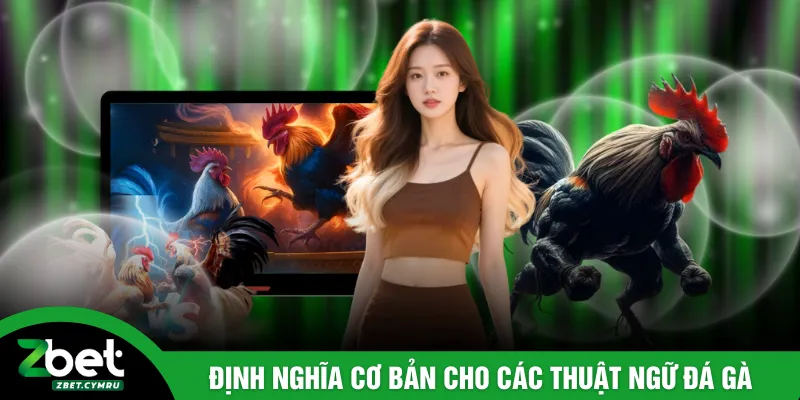 Định nghĩa cơ bản cho các thuật ngữ đá gà