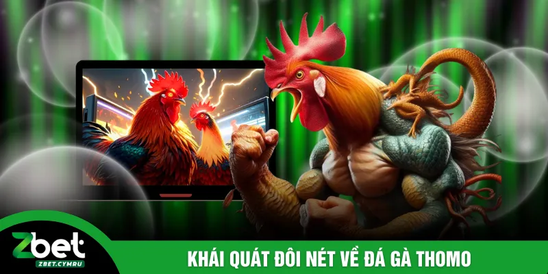 Khái quát đôi nét về đá gà Thomo