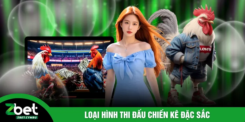 Loại hình thi đấu chiến kê đặc sắc