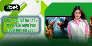 Thuật Ngữ Đá Gà - 10+ Từ Chuyên Môn Cho Người Mới Tại ZBET