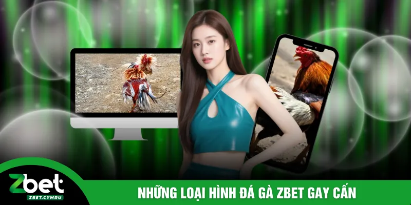 Những loại hình đá gà ZBET gay cấn