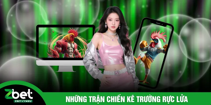 Những trận chiến kê trường rực lửa